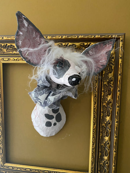 Chinese Crested Dog by Joanna Coupland