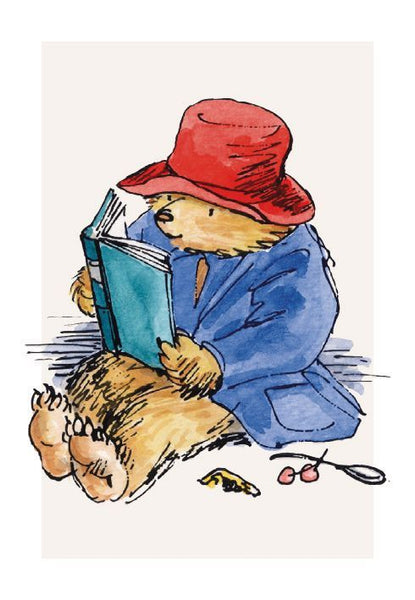 Paddington Note Card Box