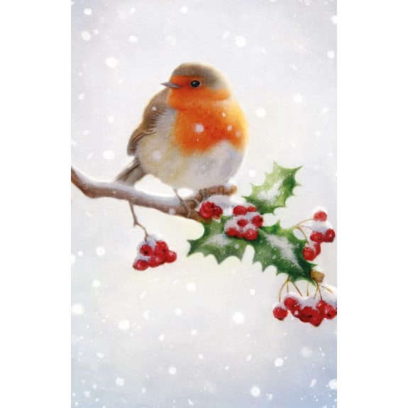 Christmas Card Pack - Holly on Branch