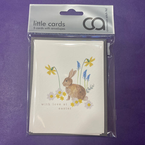 Easter Bunny - Card Pack