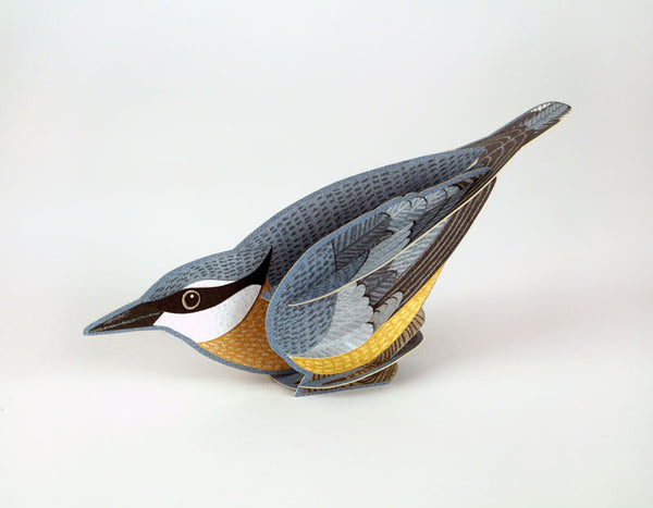 Pop Out Pets - Nuthatch