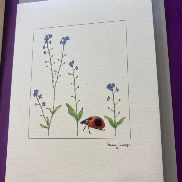 Birthday cards 24d