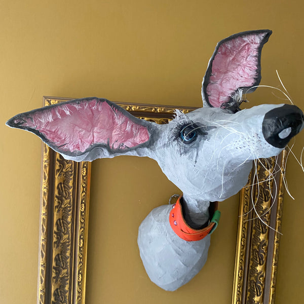 Greyhound with orange collar by Joanna Coupland