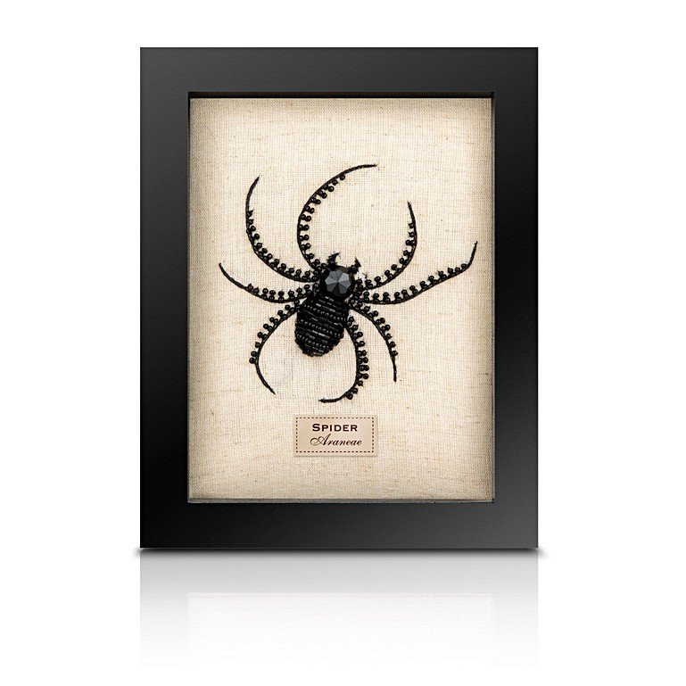 Beaded Spider Framed